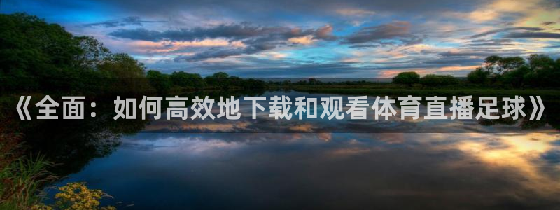 178体育直播观看在线：《全面：如何高效地下载和观看体育直播足球》