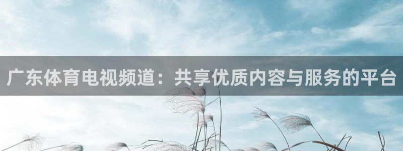 足球直播在线观看免费178：广东体育电视频道：共享优质内容与服务的平台
