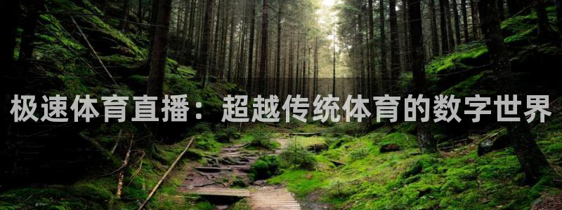 178篮球直播平台：极速体育直播：超越传统体育的数字世界