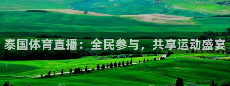 178看球直播软件：泰国体育直播：全民参与，共享运动盛宴