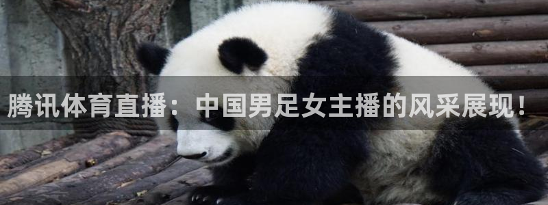 178足球直播360高清直播