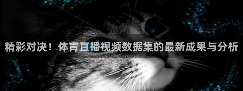 178在线看足球直播：精彩对决！体育直播视频数据集的最新成果与分析
