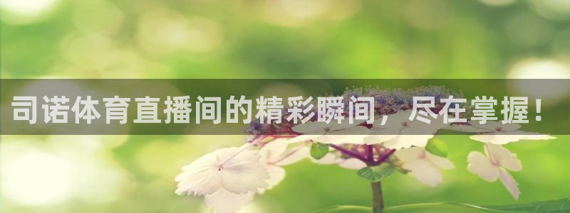 178直播体育在线：司诺体育直播间的精彩瞬间，尽在掌握！