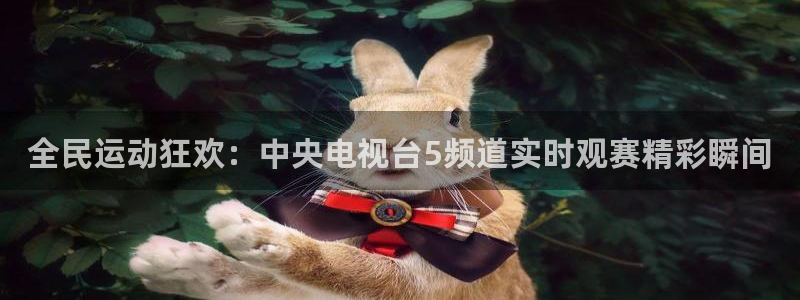 178直播吧体育：全民运动狂欢：中央电视台5频道实时观赛精彩瞬间