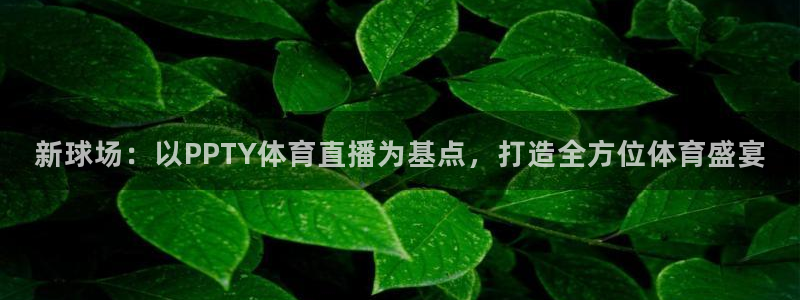 雨燕直播178足球比赛：新球场：以PPTY体育直播为基点，打造全方位体育盛宴