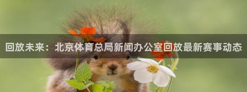 178直播体育艾伦直播：回放未来：北京体育总局新闻办公室回放最新赛事动态