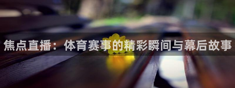 178直播比赛在线观看龙门：焦点直播：体育赛事的精彩瞬间与幕后故事