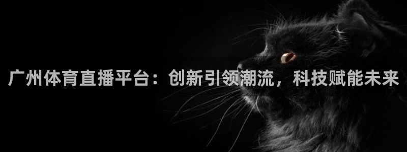 足球178直播免费：广州体育直播平台：创新引领潮流，科技赋能未来